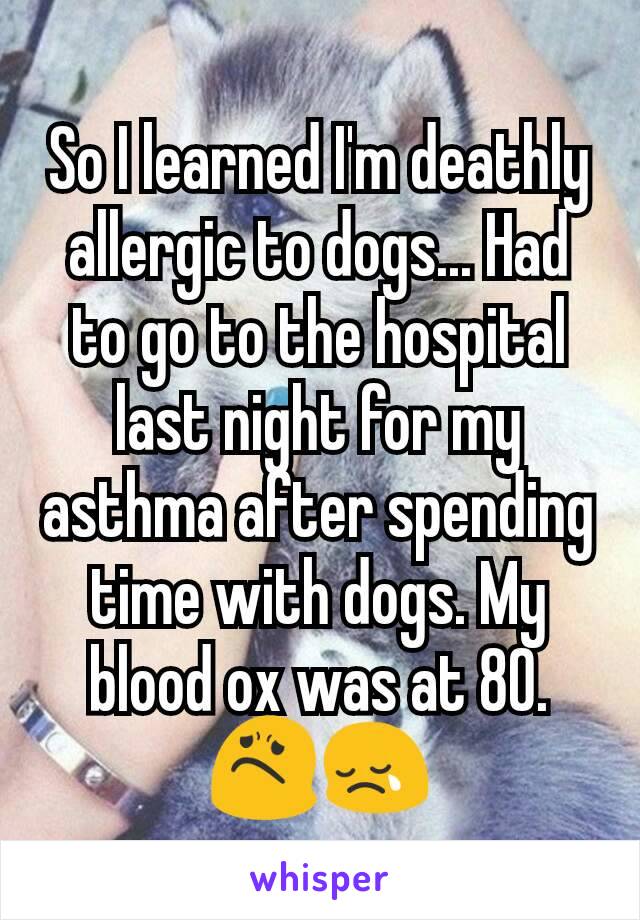 So I learned I'm deathly allergic to dogs... Had to go to the hospital last night for my asthma after spending time with dogs. My blood ox was at 80.
😟😢