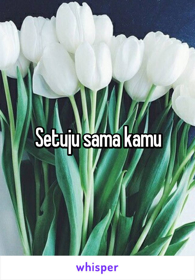 Setuju sama kamu