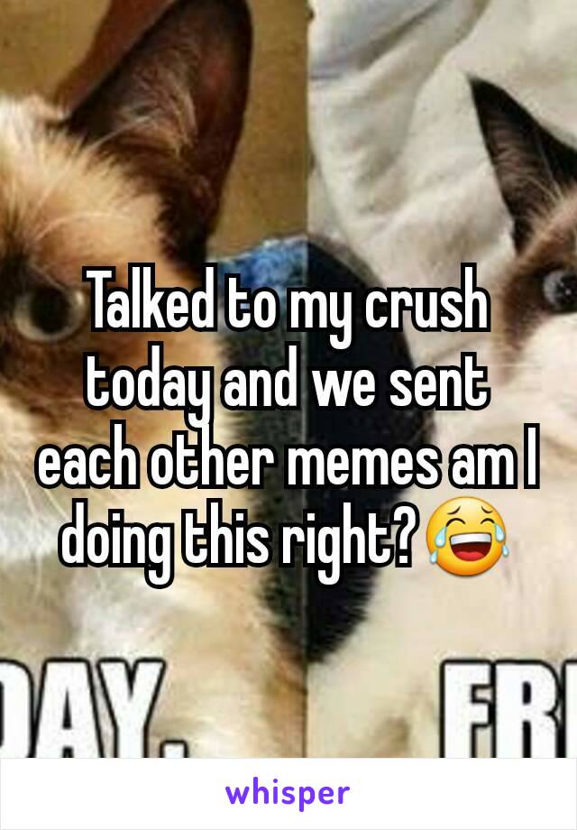 Talked to my crush today and we sent each other memes am I doing this right?😂