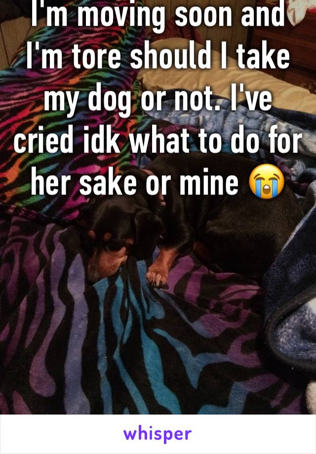 I'm moving soon and I'm tore should I take my dog or not. I've cried idk what to do for her sake or mine 😭





