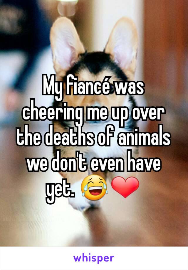 My fiancé was cheering me up over the deaths of animals we don't even have yet. 😂❤