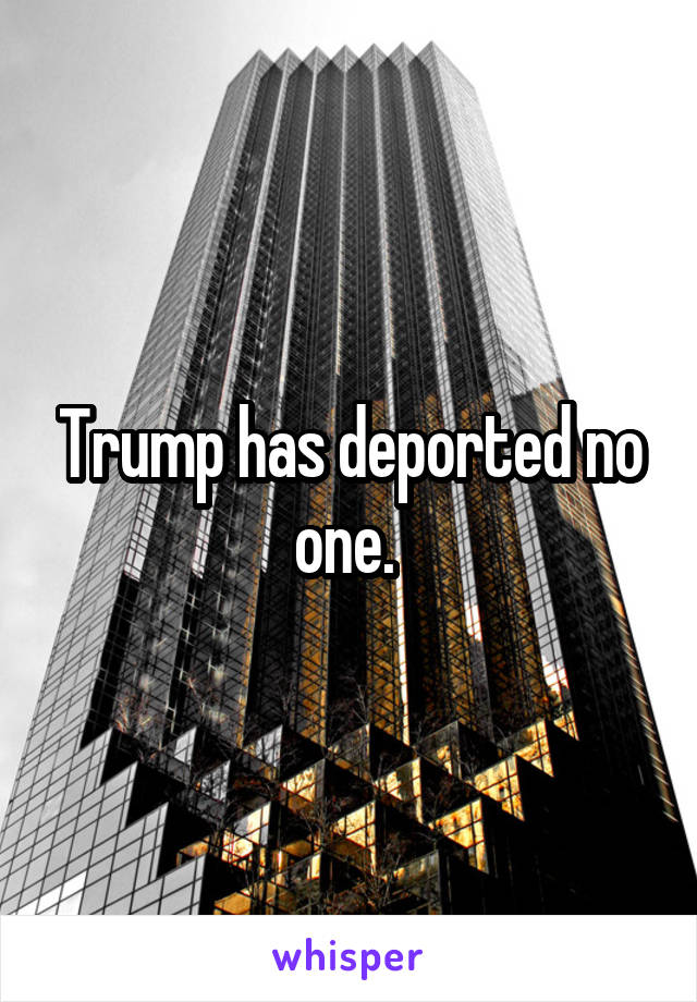 Trump has deported no one. 