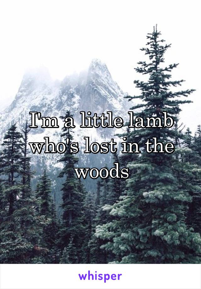 I'm a little lamb who's lost in the woods