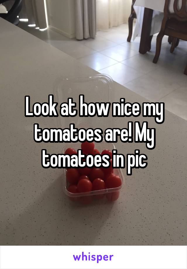 Look at how nice my tomatoes are! My tomatoes in pic