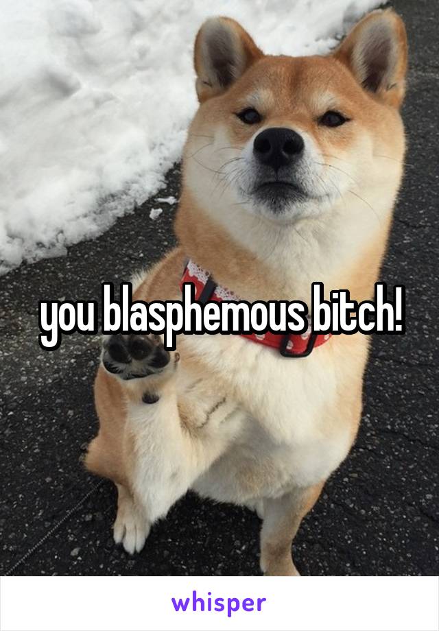 you blasphemous bitch!