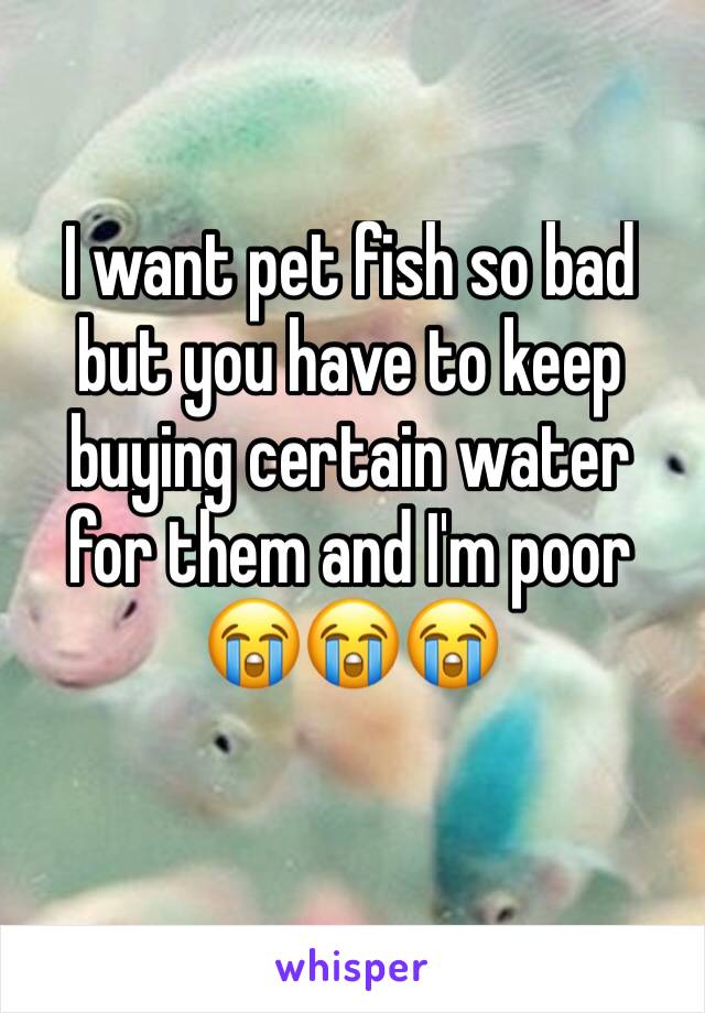 I want pet fish so bad but you have to keep buying certain water for them and I'm poor 😭😭😭