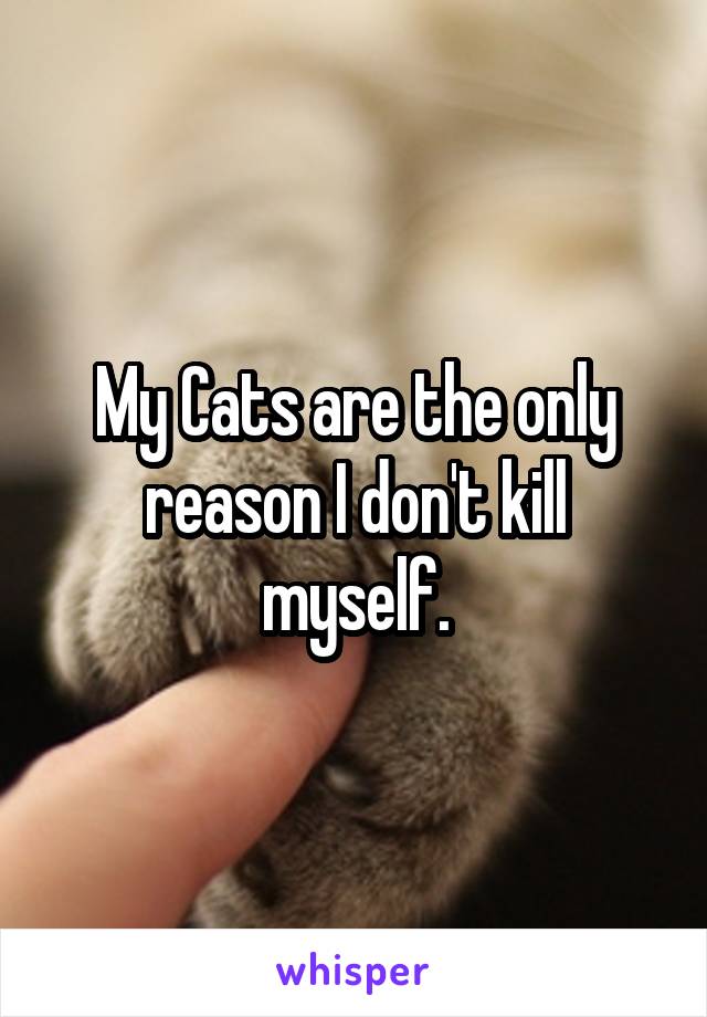 My Cats are the only reason I don't kill myself.