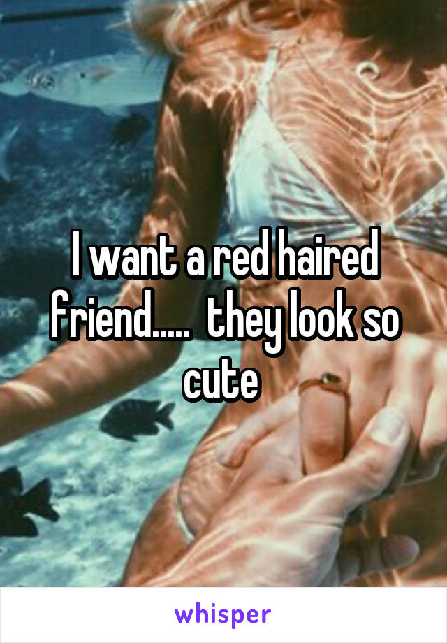 I want a red haired friend.....  they look so cute 