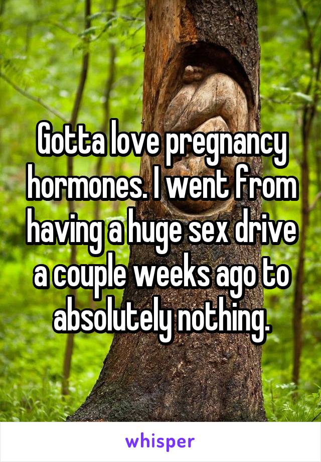 Gotta love pregnancy hormones. I went from having a huge sex drive a couple weeks ago to absolutely nothing.