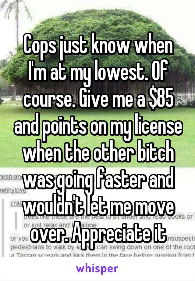 Cops just know when I'm at my lowest. Of course. Give me a $85 and points on my license when the other bitch was going faster and wouldn't let me move over. Appreciate it