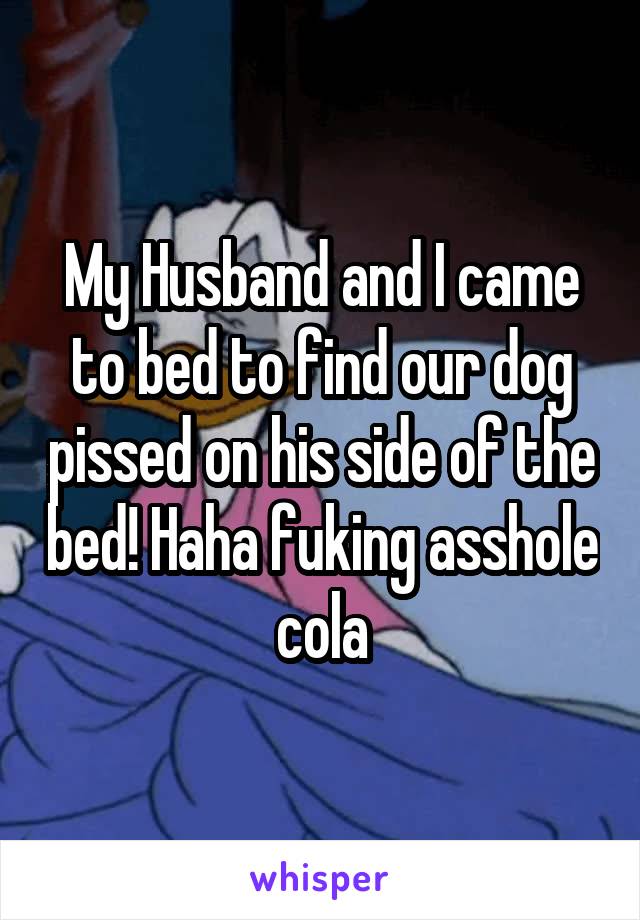 My Husband and I came to bed to find our dog pissed on his side of the bed! Haha fuking asshole cola