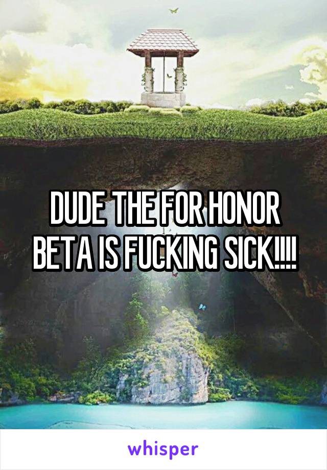 DUDE THE FOR HONOR BETA IS FUCKING SICK!!!!