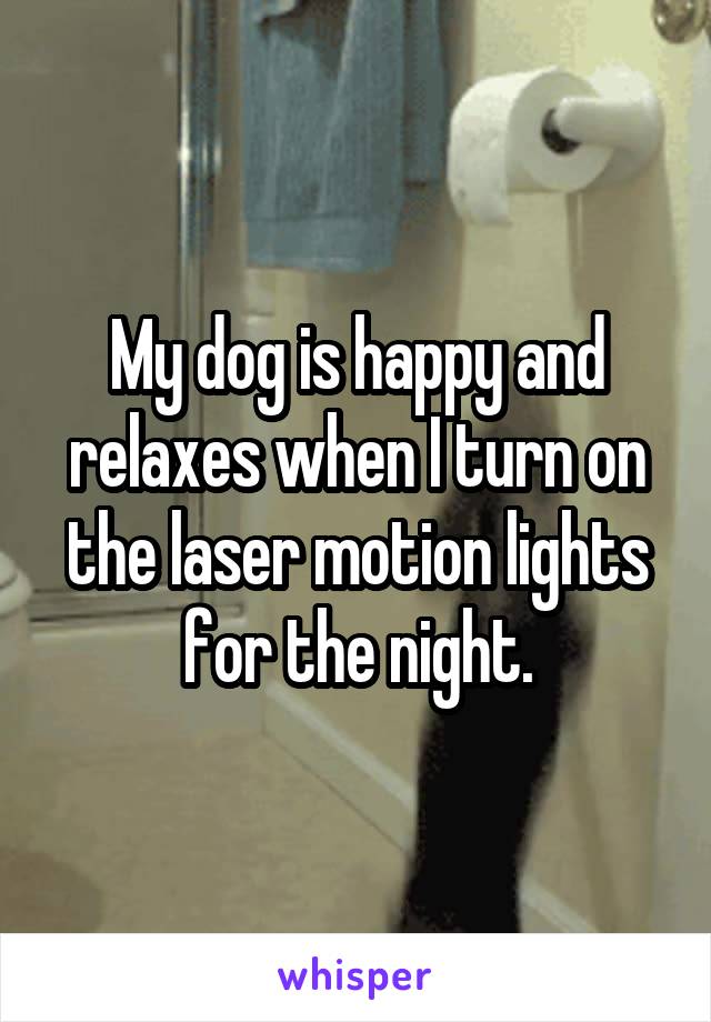 My dog is happy and relaxes when I turn on the laser motion lights for the night.