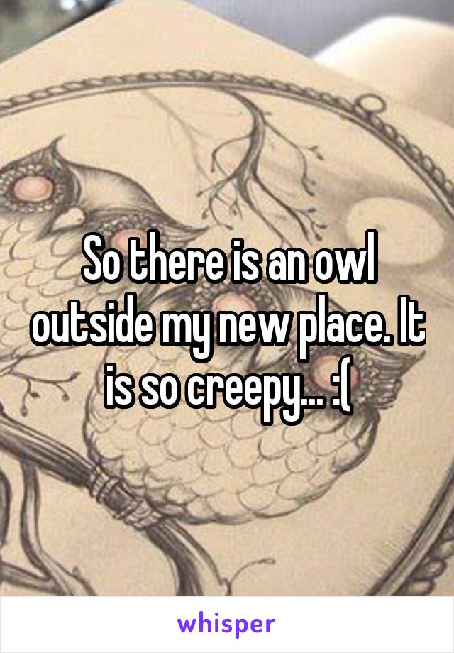 So there is an owl outside my new place. It is so creepy... :(