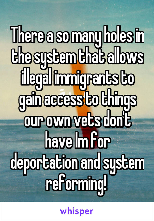There a so many holes in the system that allows illegal immigrants to gain access to things our own vets don't have Im for deportation and system reforming! 