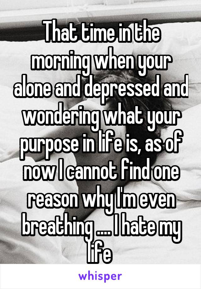 That time in the morning when your alone and depressed and wondering what your purpose in life is, as of now I cannot find one reason why I'm even breathing .... I hate my life 