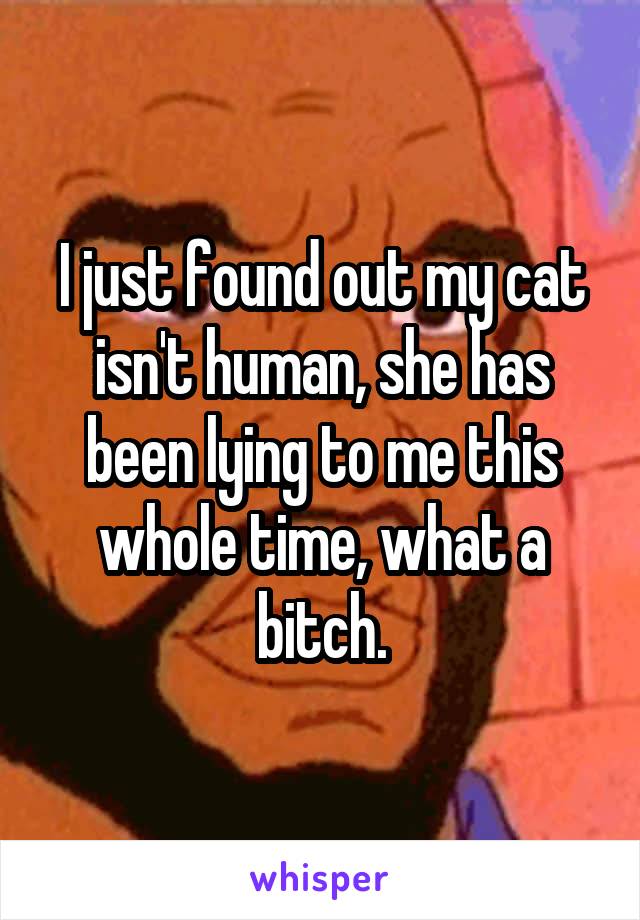 I just found out my cat isn't human, she has been lying to me this whole time, what a bitch.