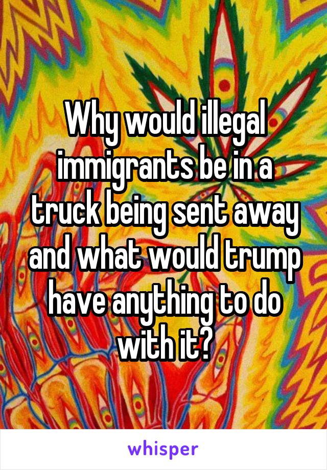 Why would illegal immigrants be in a truck being sent away and what would trump have anything to do with it?