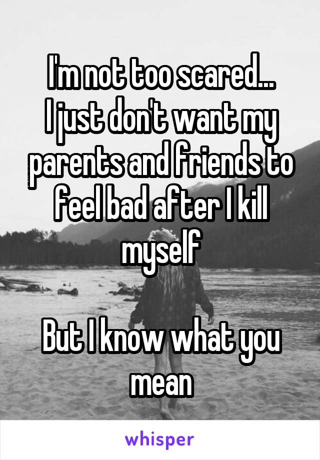 I'm not too scared...
I just don't want my parents and friends to feel bad after I kill myself

But I know what you mean