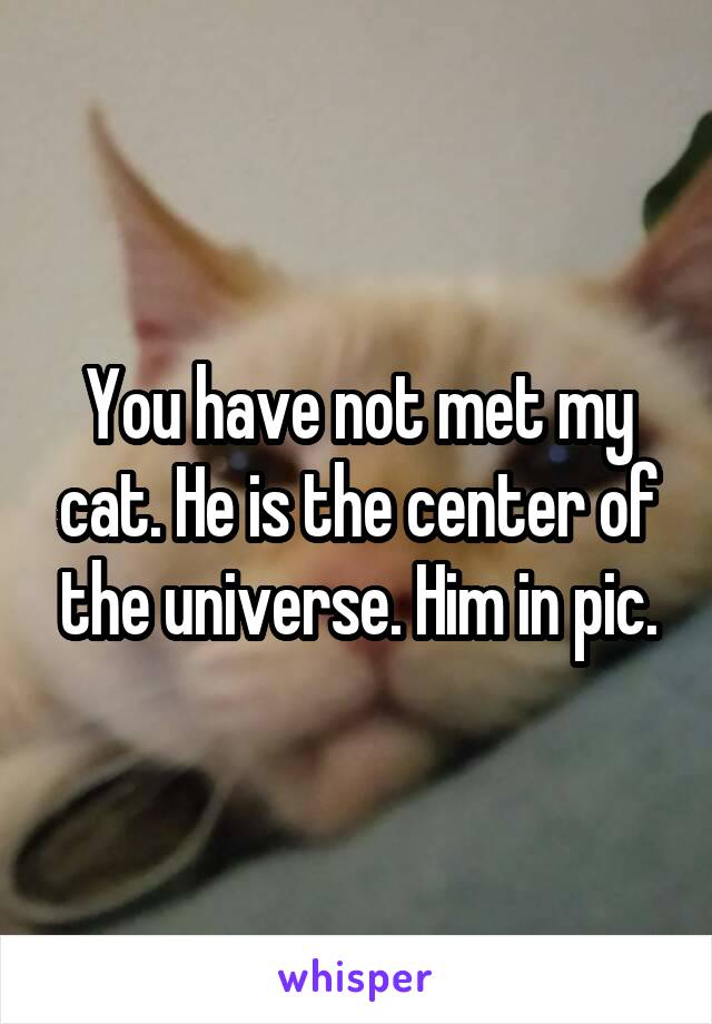 You have not met my cat. He is the center of the universe. Him in pic.