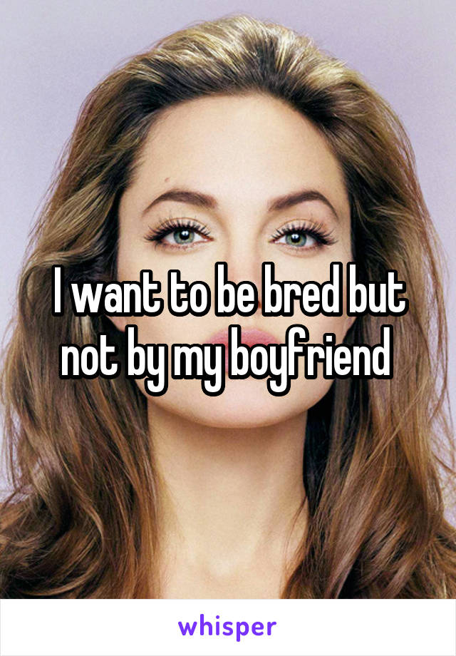 I want to be bred but not by my boyfriend 