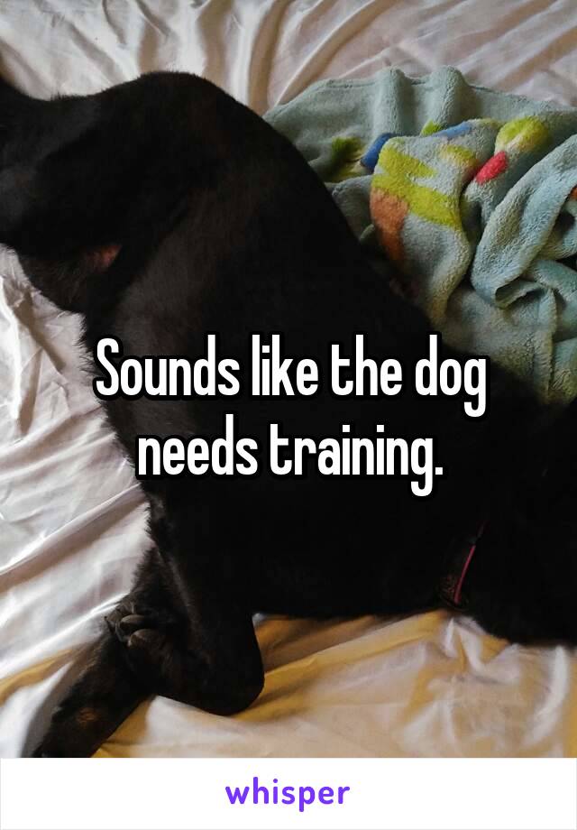 Sounds like the dog needs training.