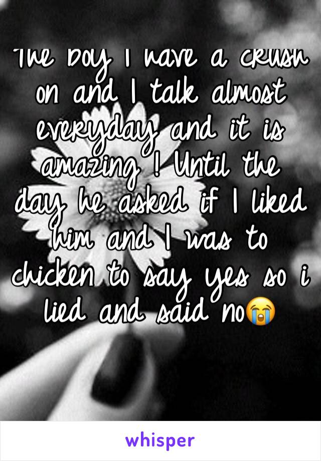 The boy I have a crush on and I talk almost everyday and it is amazing ! Until the day he asked if I liked him and I was to chicken to say yes so i lied and said no😭