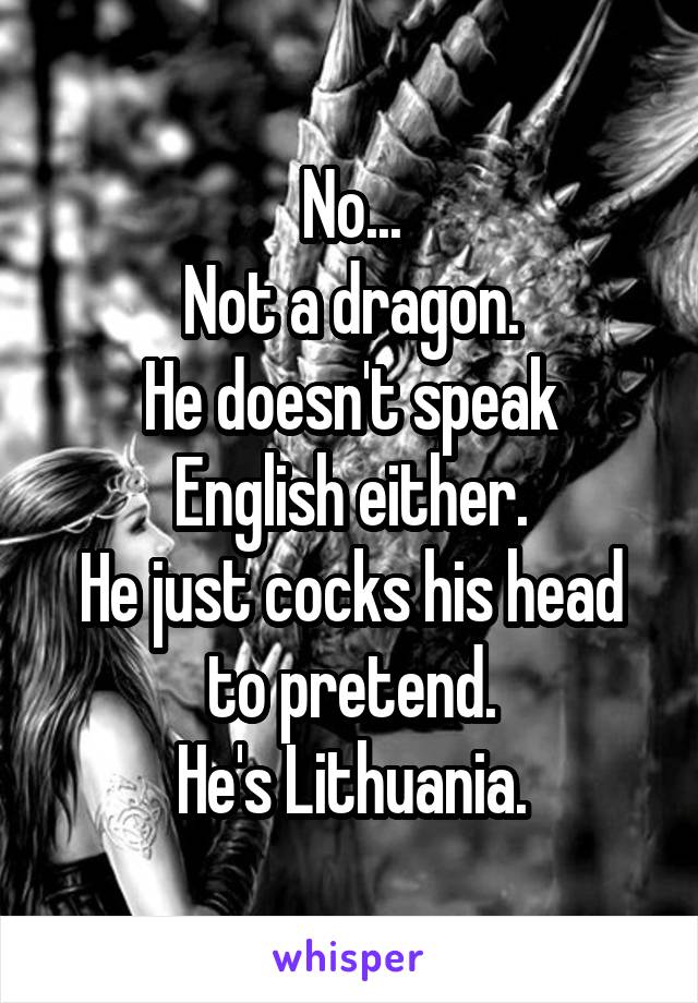 No...
Not a dragon.
He doesn't speak English either.
He just cocks his head to pretend.
He's Lithuania.
