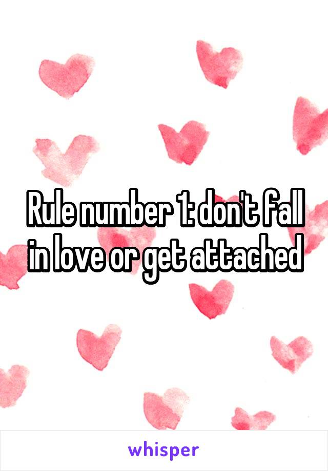 Rule number 1: don't fall in love or get attached
