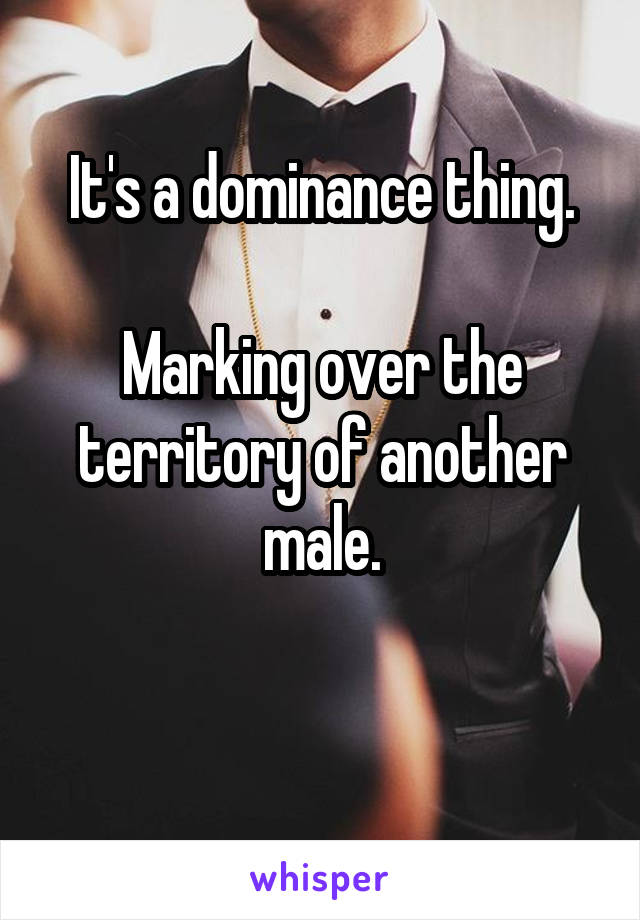 It's a dominance thing.

Marking over the territory of another male.


