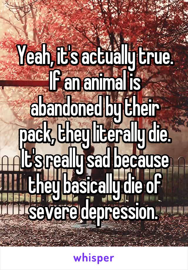 Yeah, it's actually true. If an animal is abandoned by their pack, they literally die. It's really sad because they basically die of severe depression. 