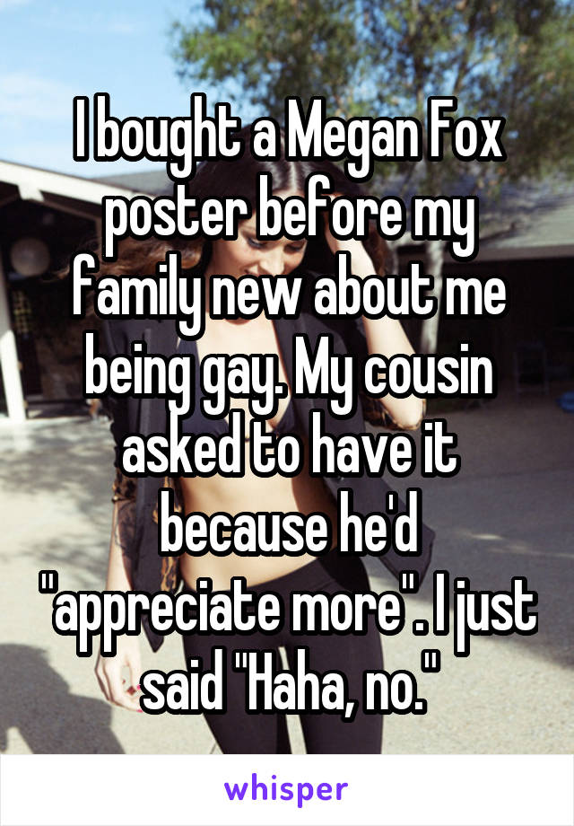 I bought a Megan Fox poster before my family new about me being gay. My cousin asked to have it because he'd "appreciate more". I just said "Haha, no."