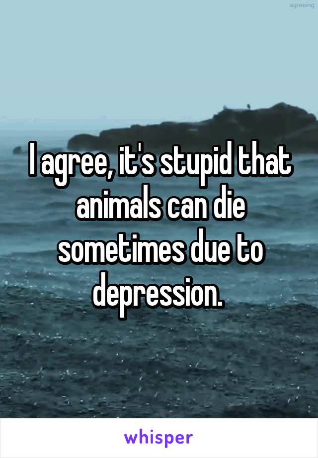 I agree, it's stupid that animals can die sometimes due to depression. 