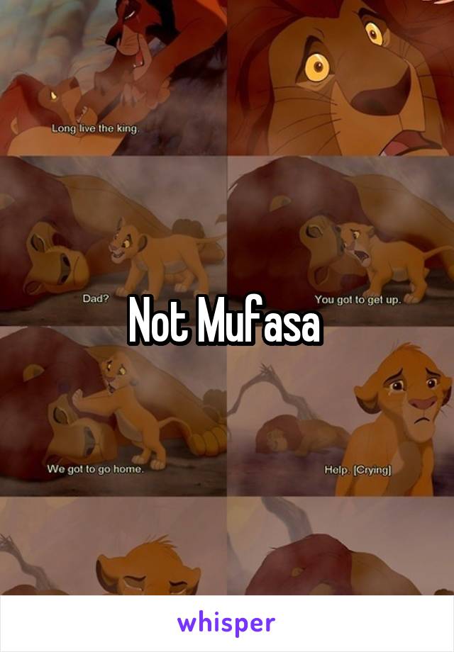 Not Mufasa 