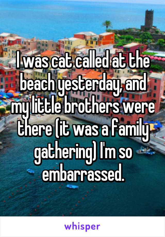 I was cat called at the beach yesterday, and my little brothers were there (it was a family gathering) I'm so embarrassed.