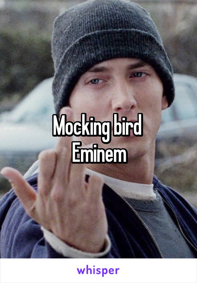 Mocking bird 
Eminem