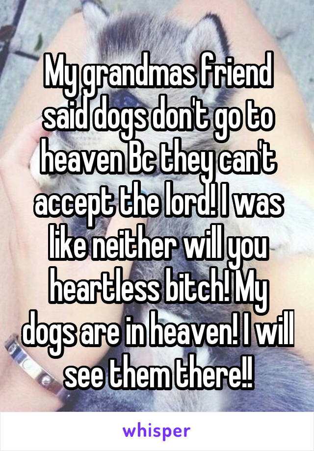 My grandmas friend said dogs don't go to heaven Bc they can't accept the lord! I was like neither will you heartless bitch! My dogs are in heaven! I will see them there!!
