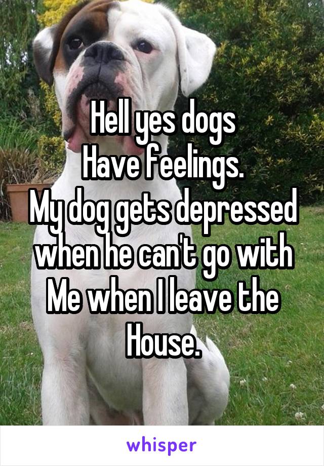 Hell yes dogs
Have feelings.
My dog gets depressed when he can't go with
Me when I leave the
House.
