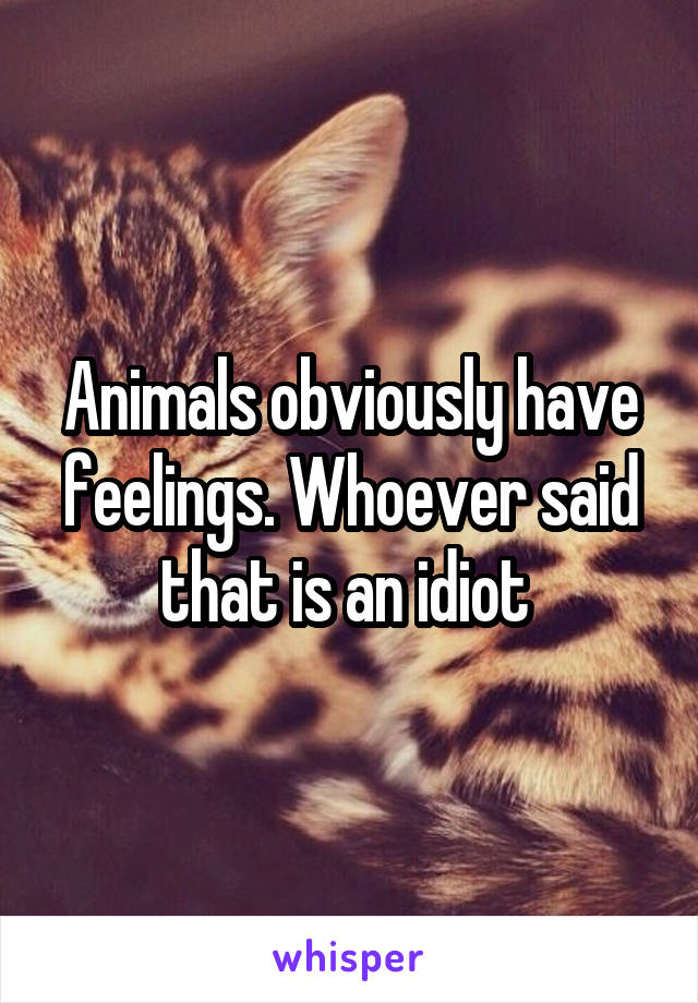 Animals obviously have feelings. Whoever said that is an idiot 