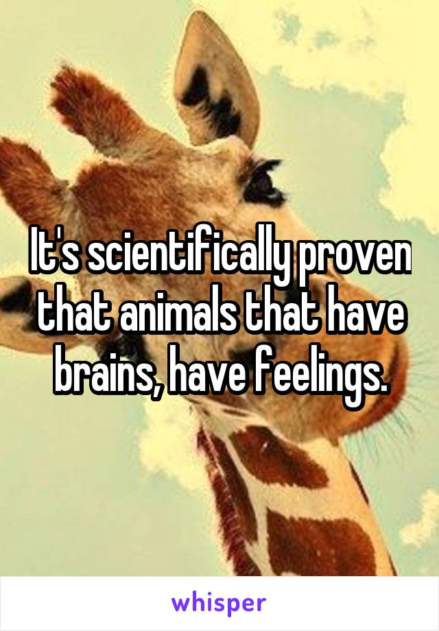 It's scientifically proven that animals that have brains, have feelings.
