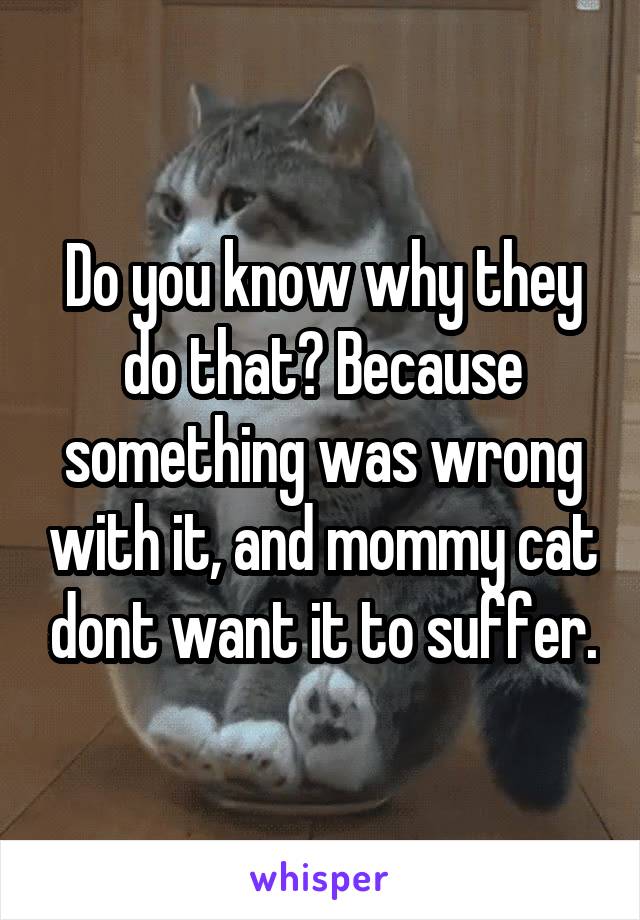 Do you know why they do that? Because something was wrong with it, and mommy cat dont want it to suffer.