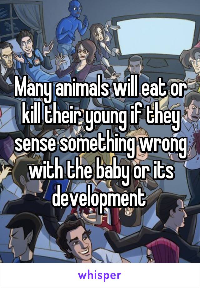 Many animals will eat or kill their young if they sense something wrong with the baby or its development 