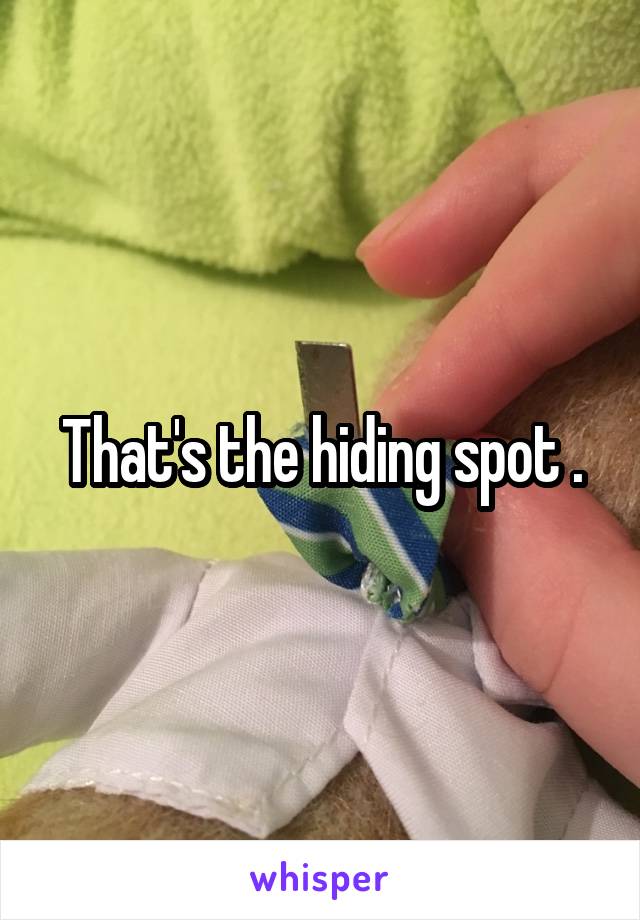 That's the hiding spot .