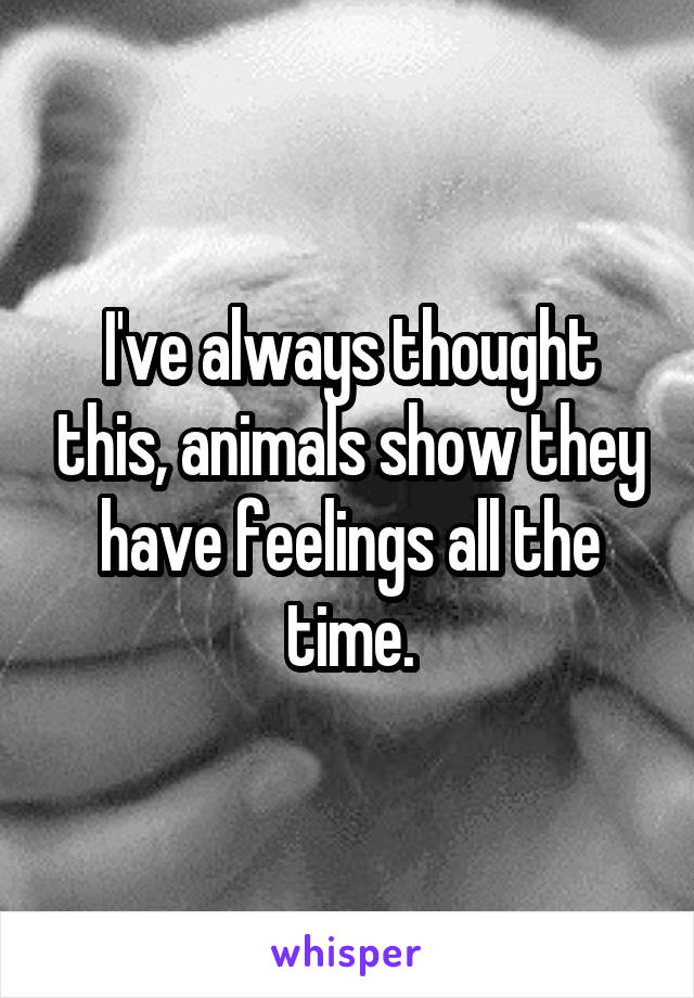 I've always thought this, animals show they have feelings all the time.