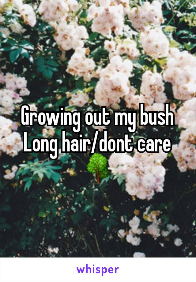 Growing out my bush
Long hair/dont care 🌳