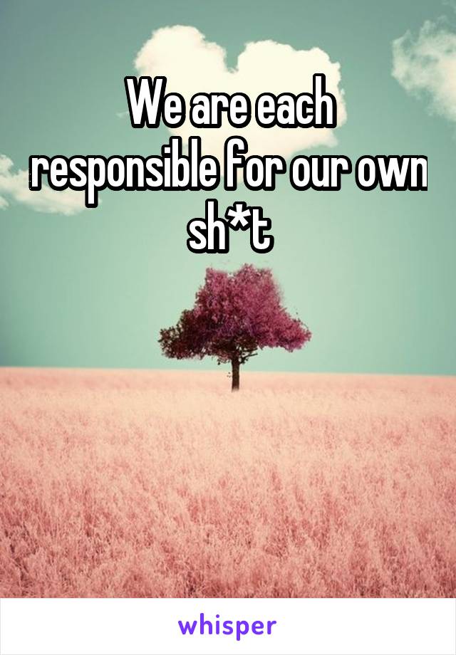 We are each responsible for our own sh*t





