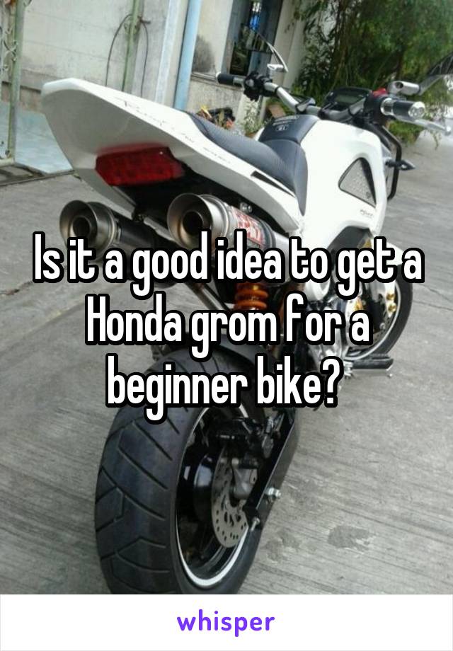 Is it a good idea to get a Honda grom for a beginner bike? 