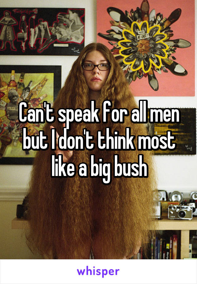 Can't speak for all men but I don't think most like a big bush