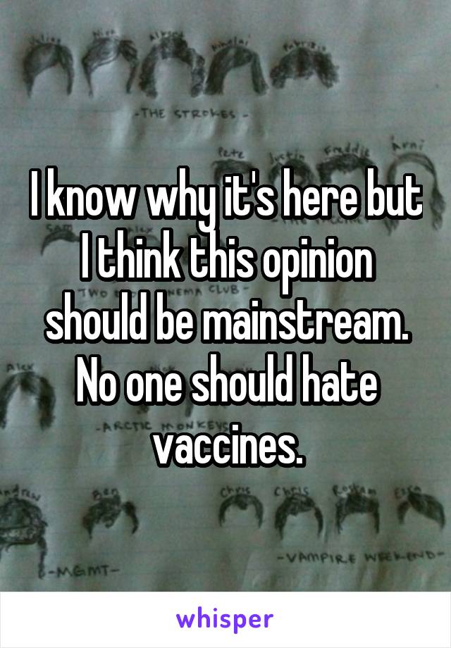 I know why it's here but I think this opinion should be mainstream. No one should hate vaccines.