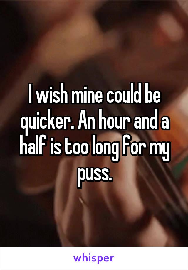I wish mine could be quicker. An hour and a half is too long for my puss.